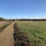 Photo of gravel path through meadow