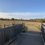 Photo of a bridge and a path through a meadow