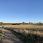 Photo of someone jogging along a path through a meadow