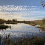 Photo of a wildlife pond