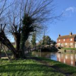 Photo of an old willow tree and a bridge over the River Wey