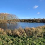 Panoramic photo of the lake