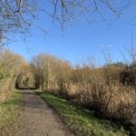 Photo of surfaced path through scrub