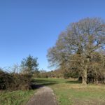 Photo of a path snaking through the meadow