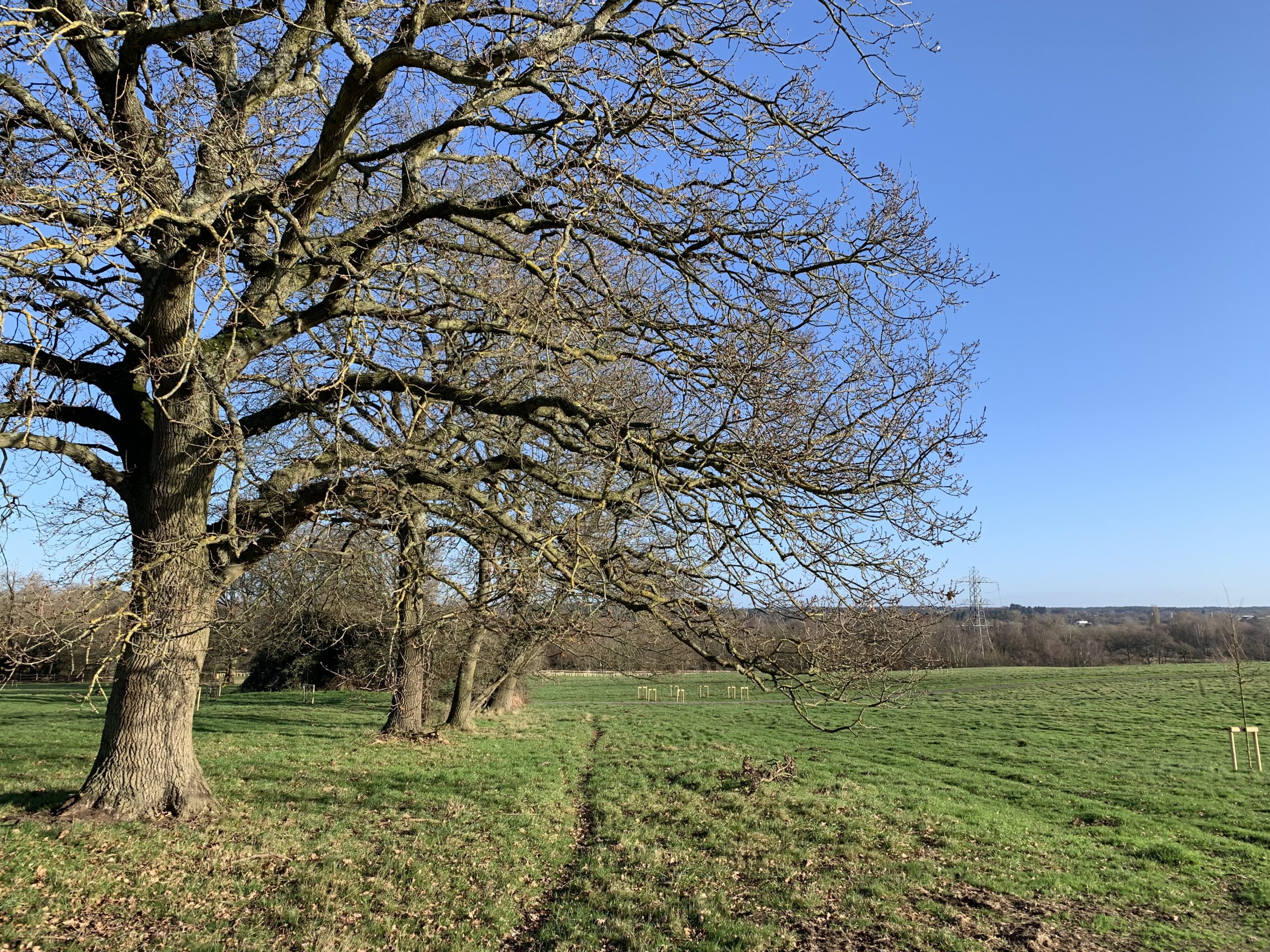 Hawley Farm Thames Basin Heaths