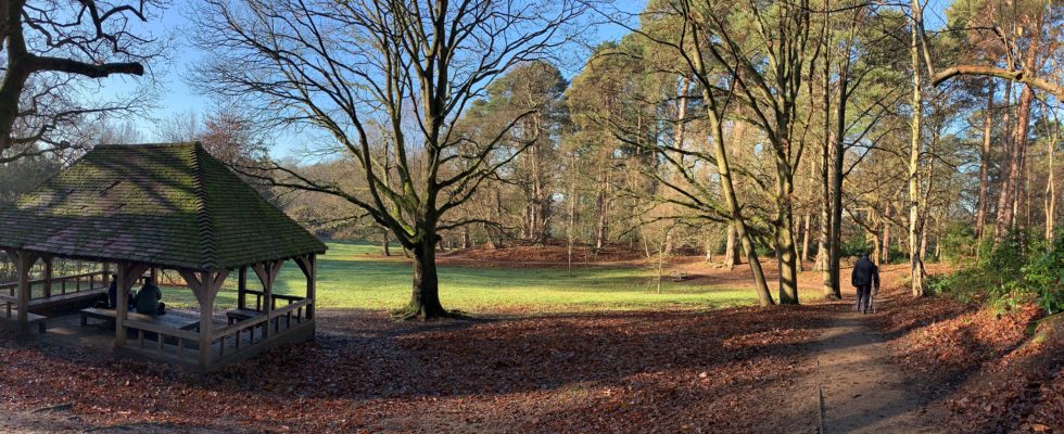 Sunny winter morning at Lily Hill.