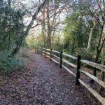 Post and rail fencing at Clinton's Hill