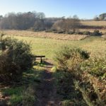 Photo of a bench looking out across the meadows