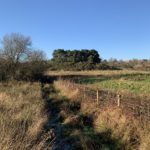 Photo of a small path along a fence