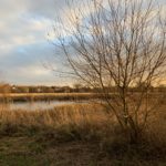 Photo taken across a pond in warm evening light