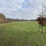 Meadow with surfaced path