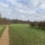 Meadow with surfaced path