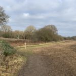 Fields in winter