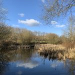 Pretty view across a small pond with blue sky behind