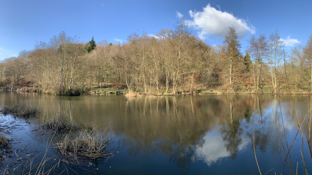 Pretty view across a large pond with blue sky behind