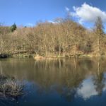 Pretty view across a large pond with blue sky behind