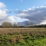 Photo of a rough meadow in winter