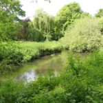 Photo of a lush green landscape with the river flowing through