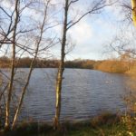 Photo of warm winter light on the lake in winter