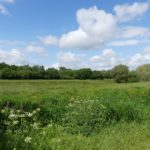 Pretty photo of the meadows in summer, green against a blue sky