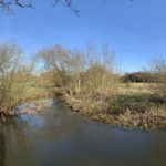 View across the River Blackwater