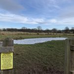 Photo of a fenced pond with sign saying "DANGER Deep Water No Swimming. This pond is dog use only."