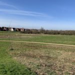 Photo of flat meadows with new houses in the distance and blue sky behind