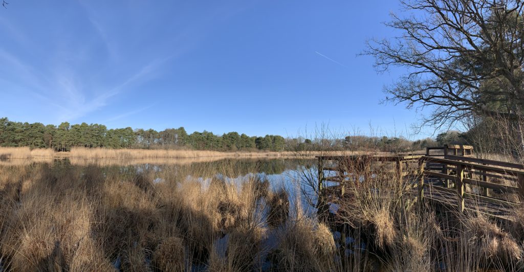 Panoramic view of the pond and the viewing platform with lovely blue sky