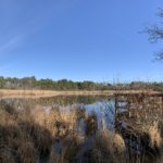 Panoramic view of the pond and the viewing platform with lovely blue sky