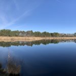 Panoramic view of the pond with lovely blue sky above