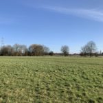 View across a flat meadow at Chertsey Meads