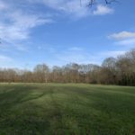 Photo of an open meadow