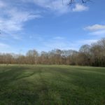 Photo of an open meadow