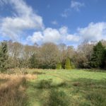 Photo of an open grassland area, with blue sky behind