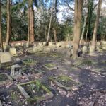 Photo of the graves in the pet cemetery