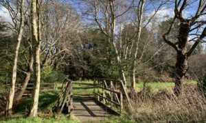 Photo of a wooden bridge crossing one of the streams