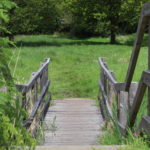 Photo of a wooden bridge stepping down into a green meadow