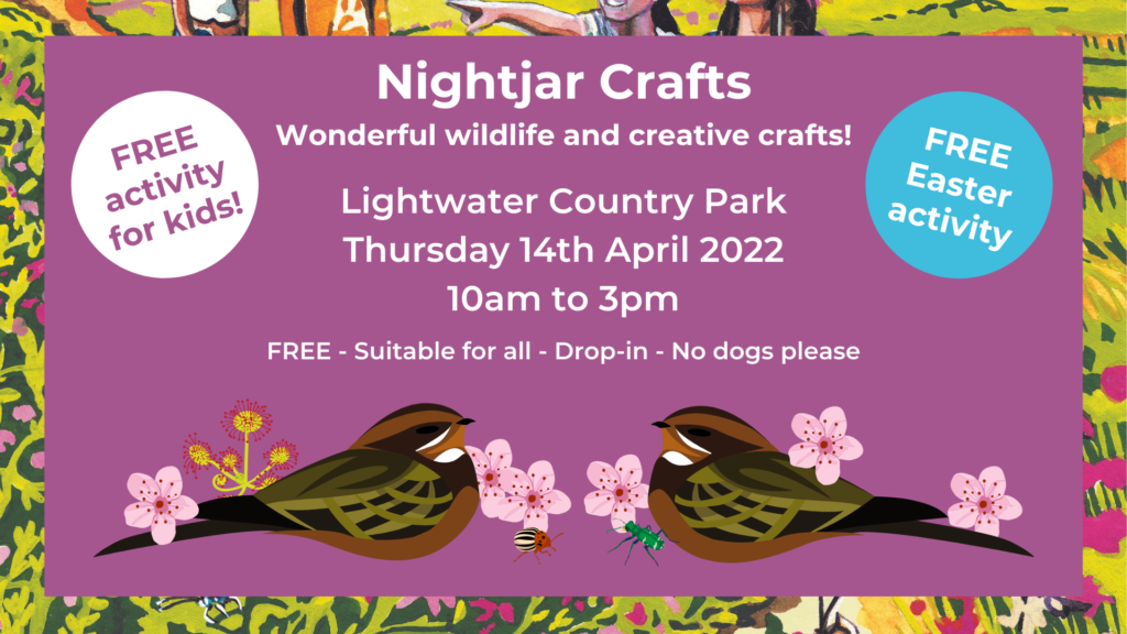 Nightjar crafts banner with Nightjars and blossom