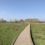 Photo of wooden boardwalk across a flat meadow