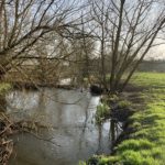 View of the meadows on the banks of the River Whitewater