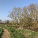 View of the meadows on the banks of the River Whitewater