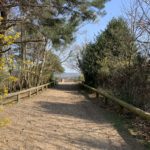 Photograph of the path leading up to the viewpoint at High Curley Hill