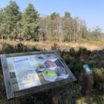 Photograph of an information sign explaining the importance of heathland habitat