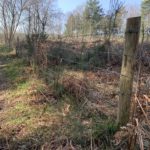 Photograph of a fence along an area of heather