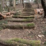 Photo of step steps made from tree trunks