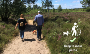 Photo of people walking on a heathland path, with "Keep to main paths" graphic