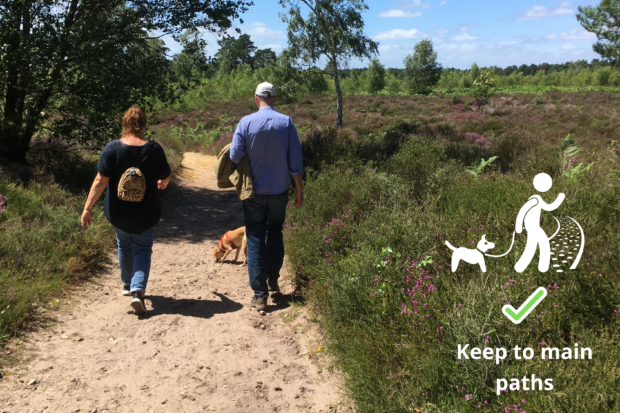 Photo of people walking on a heathland path, with "Keep to main paths" graphic