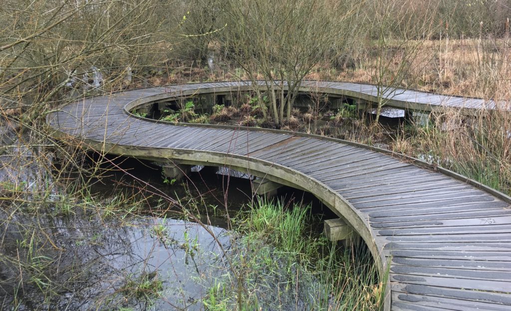 Photo of an attractive wooden boardwalk meandering across a wetland area