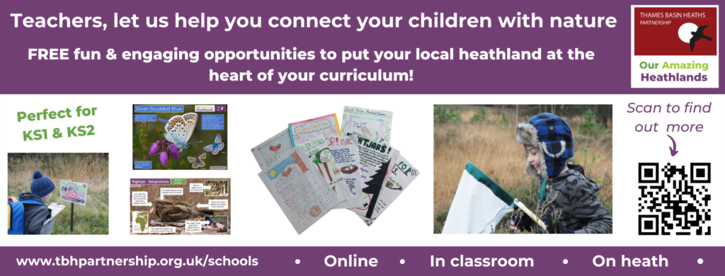 eachers, let us help connect your children with nature