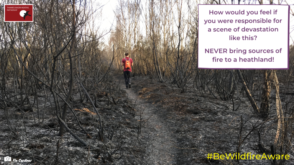 A person walks through a charred heathland landscape